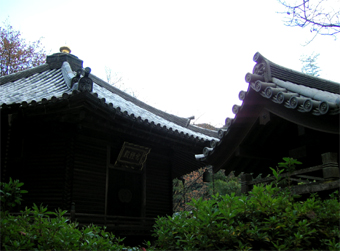 c0069552_0211655.jpg