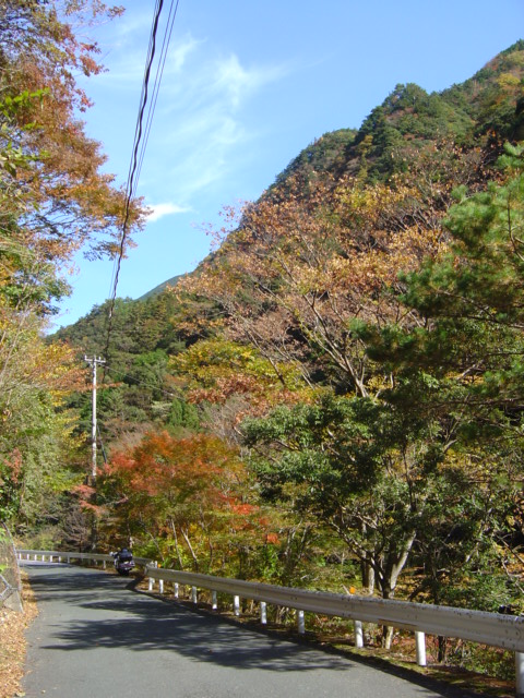 b0066153_22352436.jpg