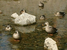 e0028056_23163272.jpg