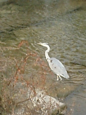 e0028056_2316695.jpg