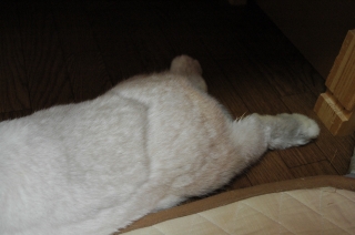 c0032257_10373820.jpg
