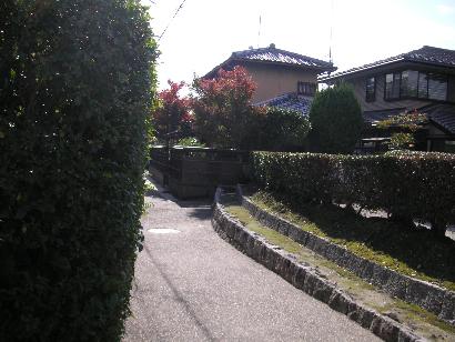 c0001269_21383445.jpg