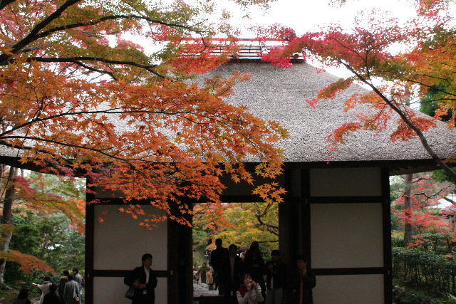 b0055171_2256582.jpg