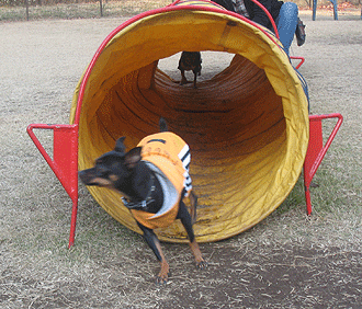 c0012571_12172498.gif