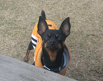 c0012571_12174964.gif