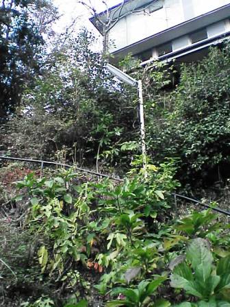 b0007483_21222595.jpg