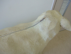 e0061584_12254838.jpg