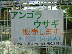 e0061584_12261576.jpg