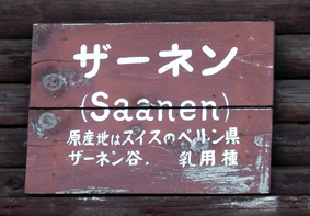 e0061584_12265790.jpg