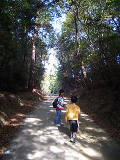 c0026594_934371.jpg
