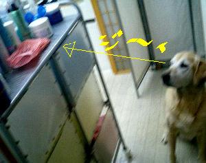 a0039299_2331278.jpg