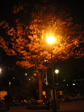 a0024005_12164149.jpg