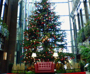 d0000106_1740589.jpg