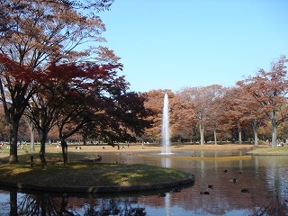 d0023323_0103135.jpg