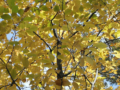 d0002224_21175460.jpg