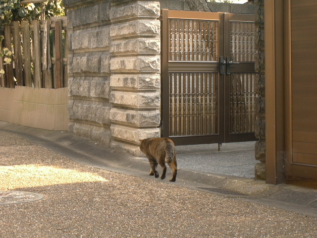 c0073633_21173329.jpg