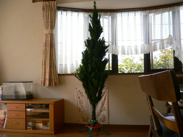 a0057238_17585389.jpg