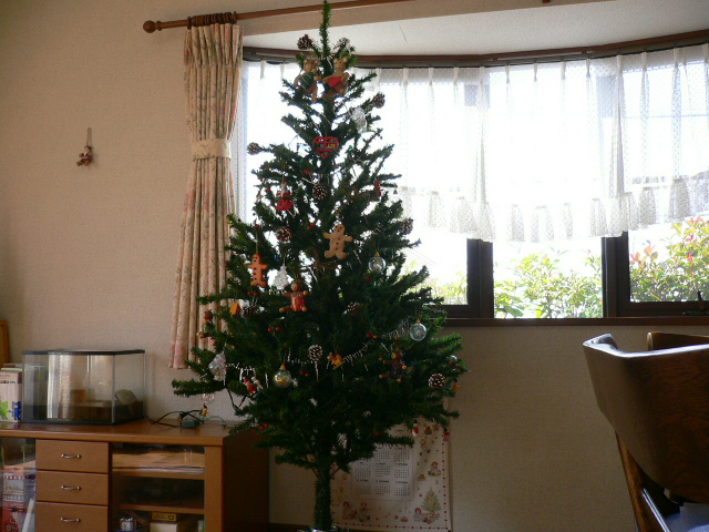 a0057238_1805062.jpg