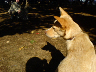 c0065643_18201522.jpg
