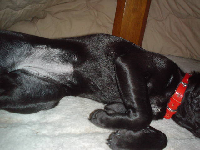 e0040544_7122265.jpg