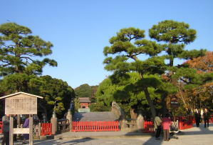 c0023545_21441884.jpg
