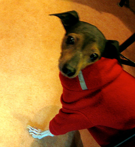 c0067449_2131178.jpg