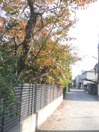 d0013149_214522.jpg
