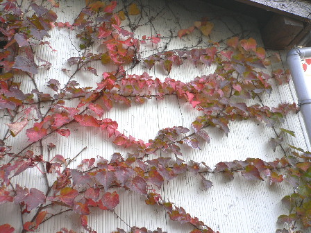 d0013149_23196100.jpg