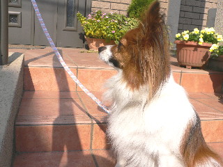 d0013149_235517100.jpg