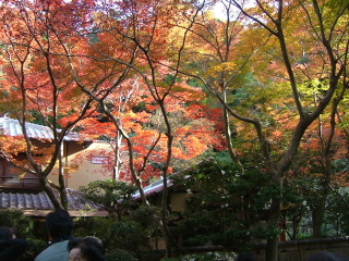 a0051154_1551425.jpg
