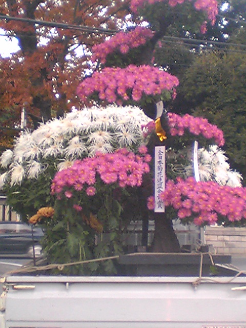e0062454_1254620.jpg