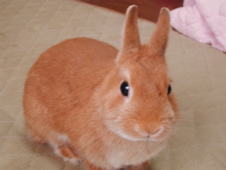 c0032257_1245254.jpg