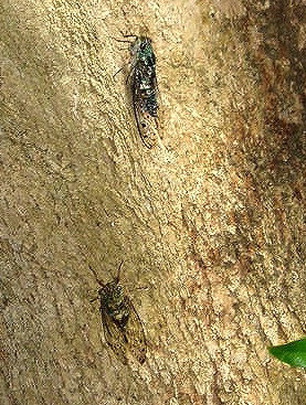 e0064158_2351152.jpg