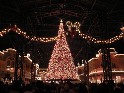 e0015270_0205964.jpg