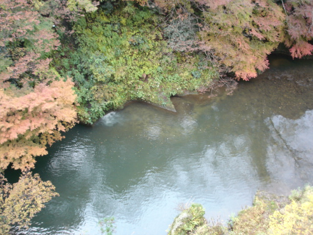 e0051174_20552318.jpg