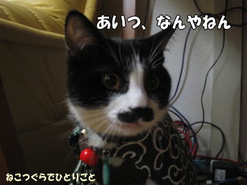 b0041182_8521515.jpg