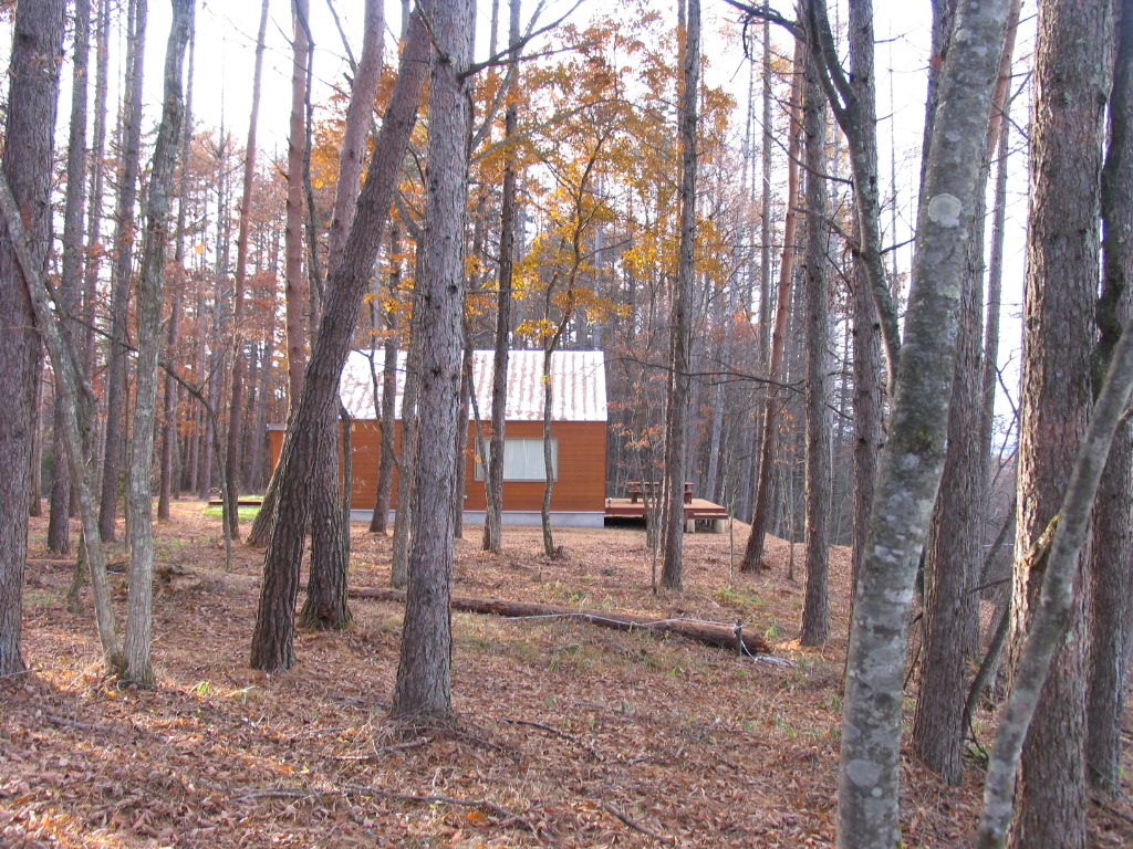 c0038983_1023359.jpg