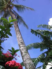 e0088684_025977.jpg
