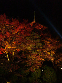 b0014587_9314051.jpg