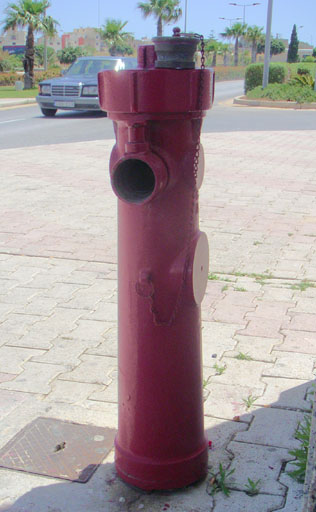 b0038588_2043329.jpg