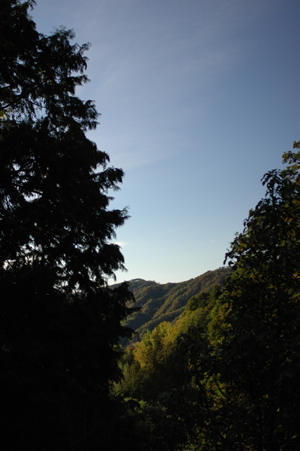 b0061588_234301.jpg