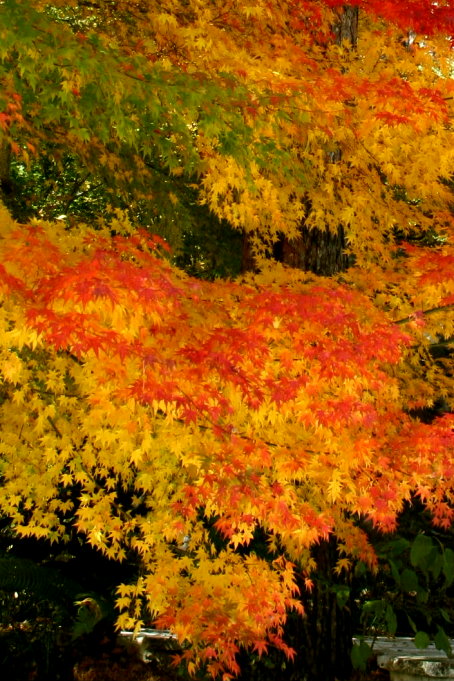 c0025895_3471792.jpg