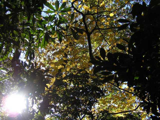 c0034595_0283070.jpg