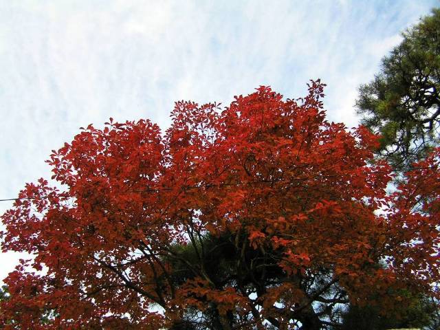 c0034595_0313761.jpg