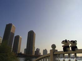 e0015195_19513728.jpg