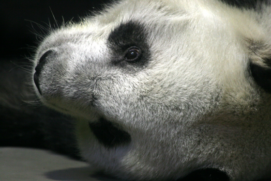 b0016600_0354249.jpg