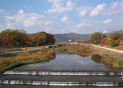 c0069903_659676.jpg