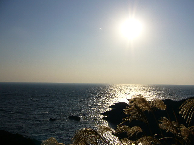 e0015108_0141720.jpg