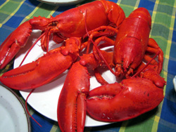 b0059509_11112381.jpg