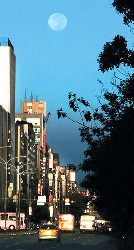 c0054118_128162.jpg